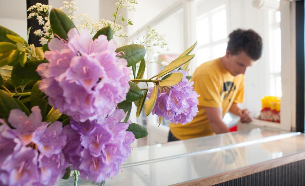 Ronneby Brunnspark Vandrarhem Och B&B 외부 사진
